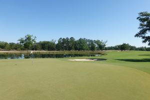 Congaree 4th Green Back